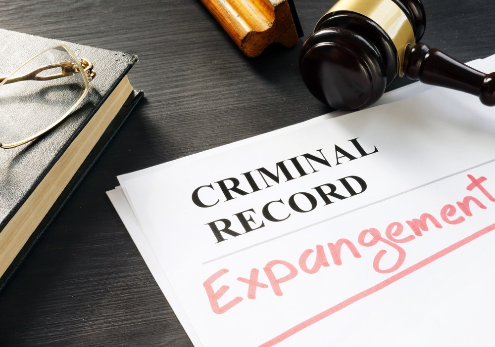 Image result for expungement