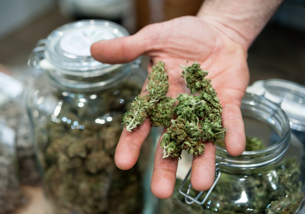 Where to Start a Michigan Recreational Marijuana Business | Consultation