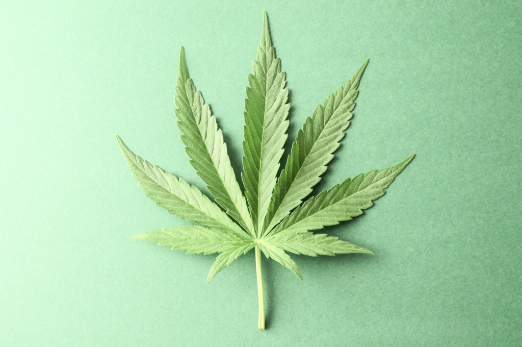 michigan cannabis industry covid-19