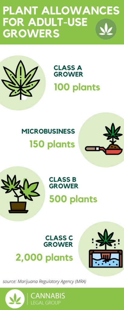 Marijuana Plant Allowances under the MRA