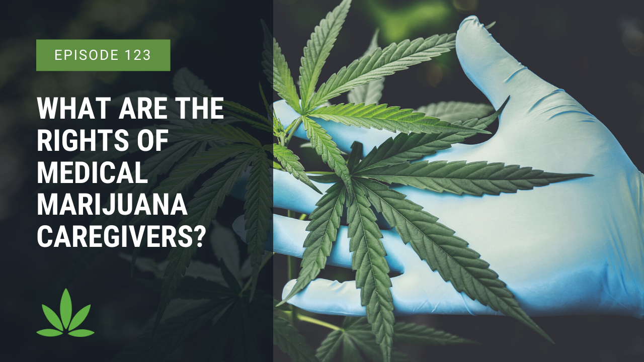 What are the Rights of Medical Marijuana Caregivers?