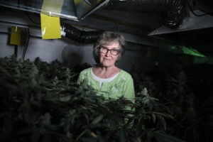Ypsilanti Township woman, 79, could face jail for defying local marijuana regulations