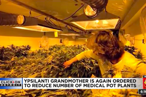 79-year-old Woman Battles Ypsilanti Township Over Number of Plants Caregivers are Allowed