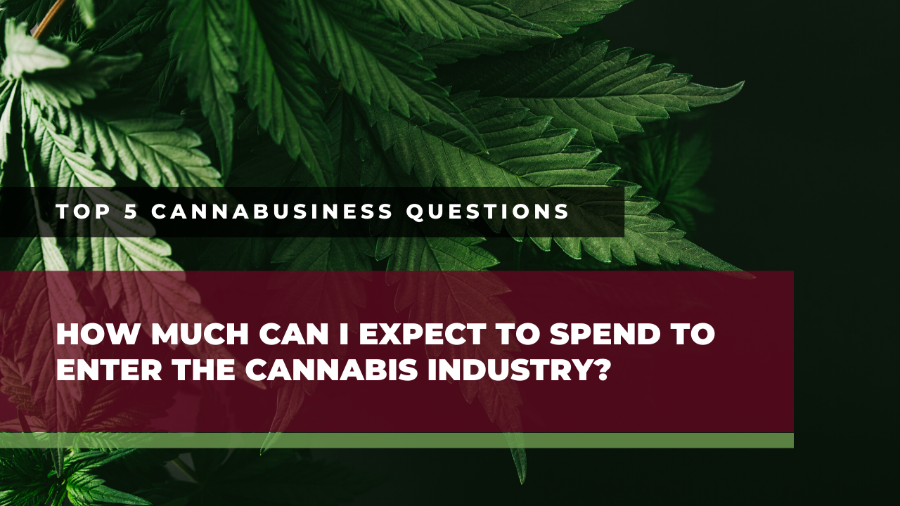 How Much Can I Expect to Spend to Enter the Cannabis Industry?