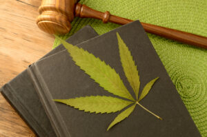 regulatory compliance in cannabis business